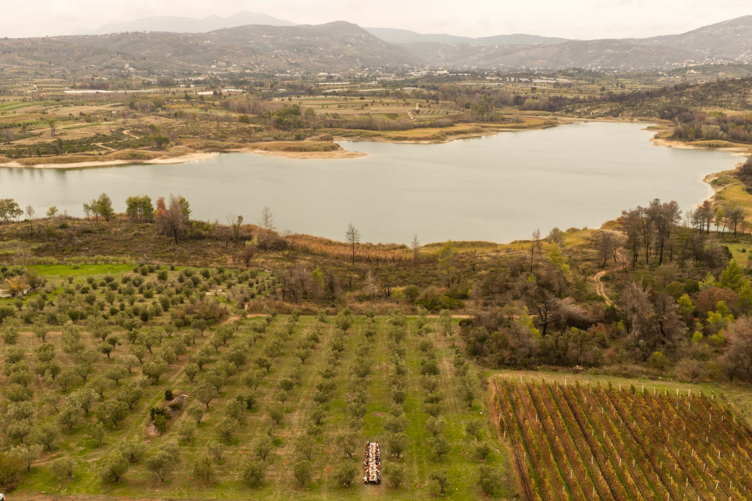 Κτήμα Κώστα Λαζαρίδη